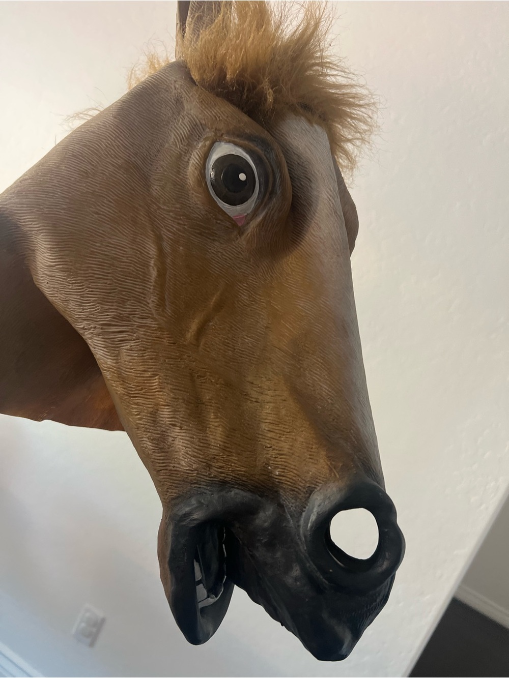 Horse face mask